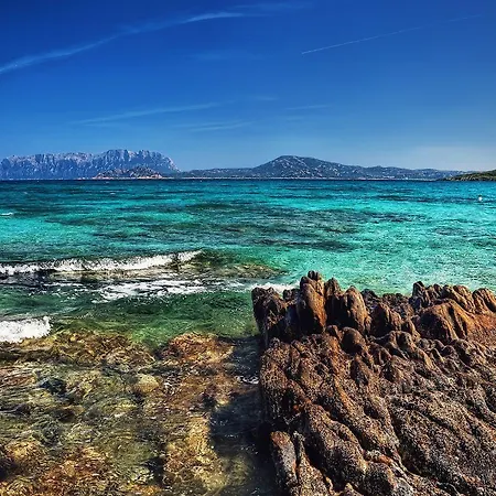 Trilo Caraibi Olbia