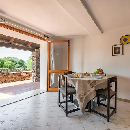 Trilo Caraibi * 올비아