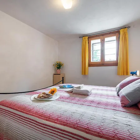 Trilo Caraibi * 올비아